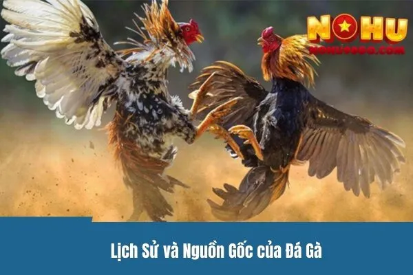 Đá Gà Mạng - Lịch Sử Phát Triển Và Tầm Quan Trọng 2 Đá Gà Mạng - Lịch Sử Phát Triển Và Tầm Quan Trọng Của Môn Thể Thao Này